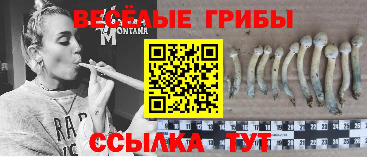 Йошкар-Ола  Псилоцибиновые грибы Psilocybine cubensis  Псилоцибиновые грибы Psilocybine cubensis  Вход с VPN 